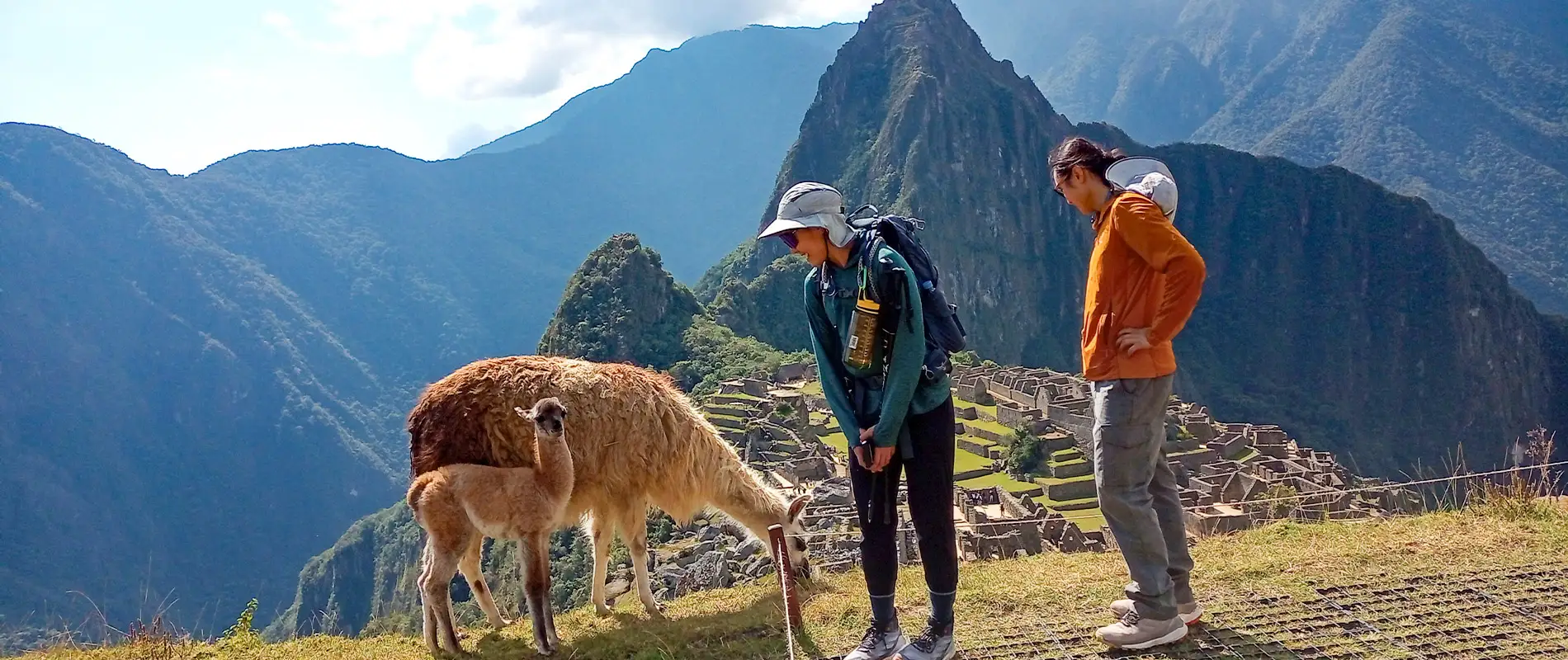 Online Beschikbaarheid van Tickets voor Machu Picchu